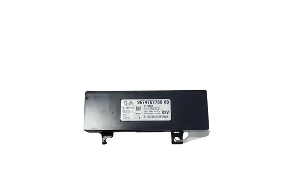 Peugeot 208 Other control units/modules 9674767780