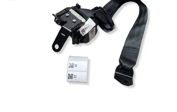 Ford Escape III Rear seatbelt 10002019
