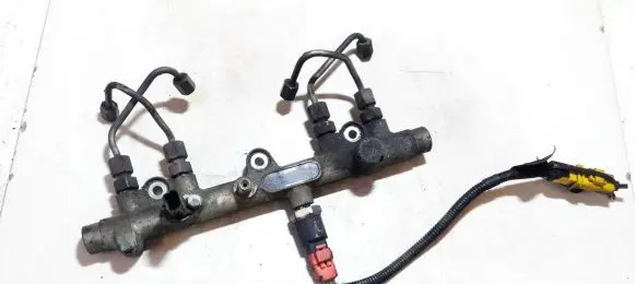Citroen Xsara Picasso Fuel main line pipe 0445214010 22018
