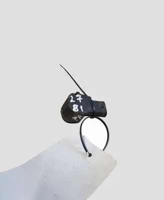 Volvo V70 Parking PDC sensor 31341343