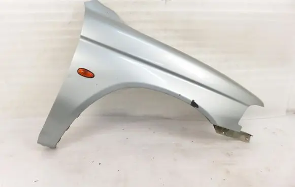 Mitsubishi Pajero Fender