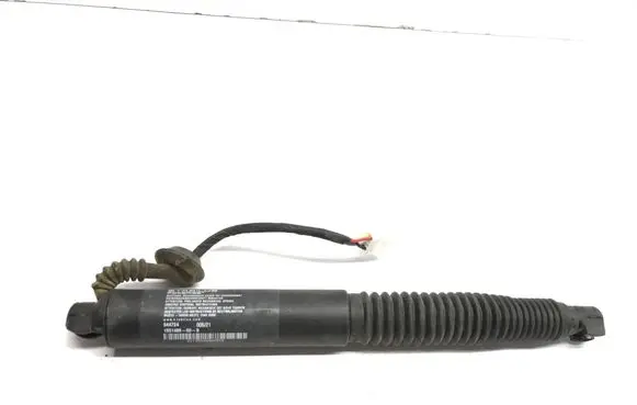 Tailgate strut