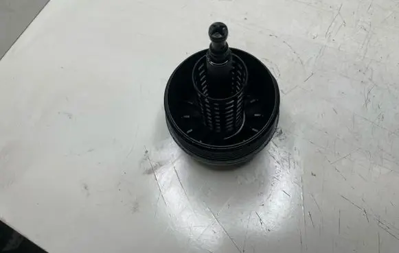 BMW 3 E46 Oil filter cover 1744000