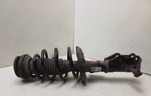 Opel Insignia A Front shock absorber with coil spring