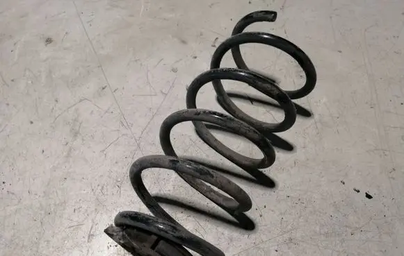 Rear coil spring
