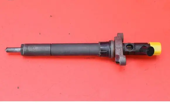 Citroen C5 Fuel injector 9656389980