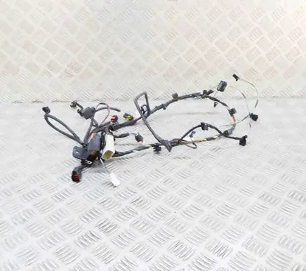 Tesla Model X Other wiring loom 303243803B