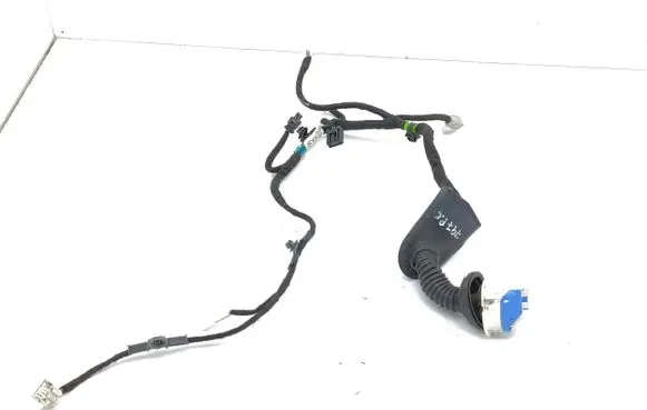 Front door wiring loom