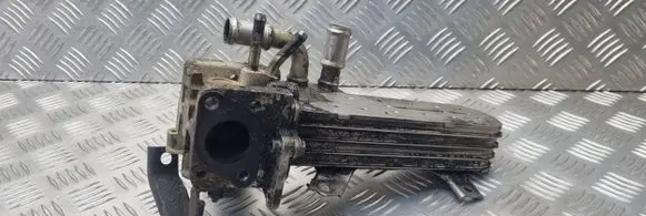 Volkswagen Golf IV EGR valve cooler 038131513D 1723493 V800