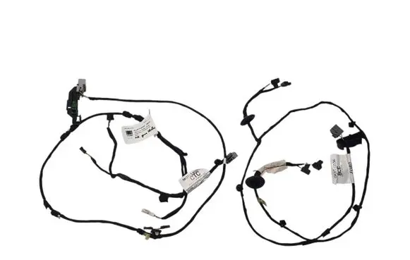Other wiring loom