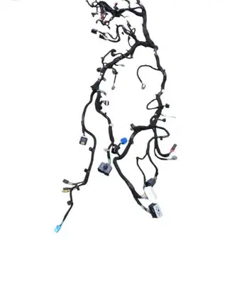 Ford Kuga III Other wiring loom NR63811 2054TA