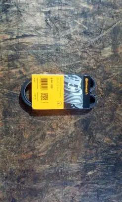 BMW 5 E39 Alternator belt 5PK820