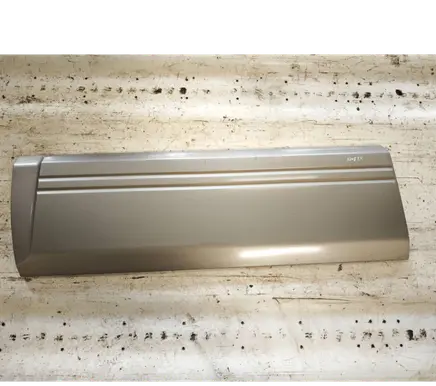 Nissan Terrano Front door trim (molding) 808717F600