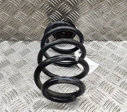 Nissan Leaf II (ZE1) Rear coil spring 550205SJ1B