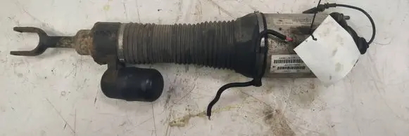 Volkswagen Phaeton Front shock absorber/damper 3D0616039P