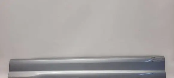 Front door trim (molding)