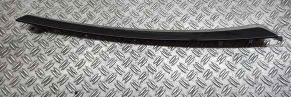 Other front door trim element