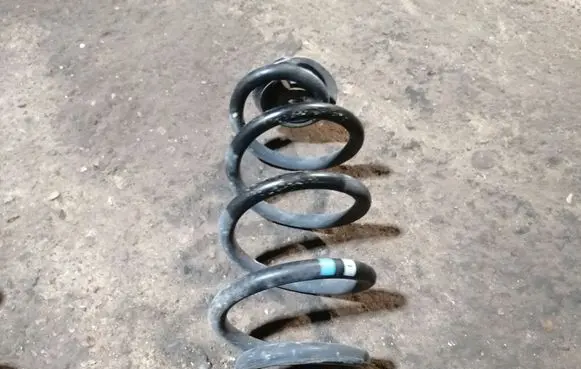 Rear coil spring