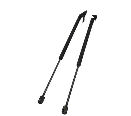 Tailgate/trunk strut/damper