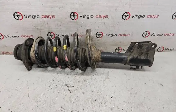 Fiat Doblo Front shock absorber with coil spring 46812364 B33424