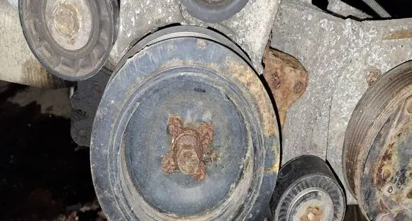 Opel Signum Crankshaft pulley 