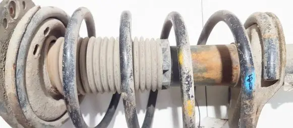 Peugeot 206 Front coil spring