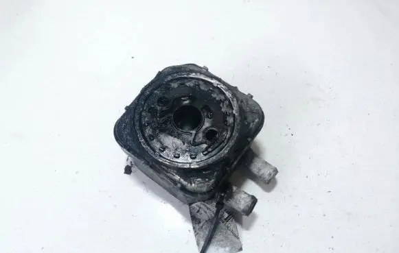 Volkswagen PASSAT B5 Engine oil radiator 