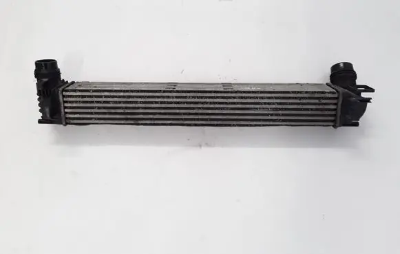Renault Megane III Intercooler radiator 144960006R