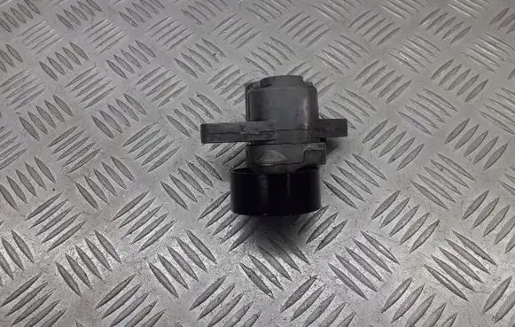 Dacia Sandero Alternator belt tensioner pulley 