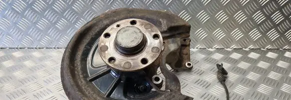 Volkswagen Golf VI Rear wheel hub spindle/knuckle 