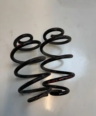 Renault Clio III Rear coil spring 53535