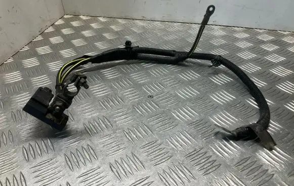 Nissan Juke I F15 Negative earth cable (battery) 240801KP0A