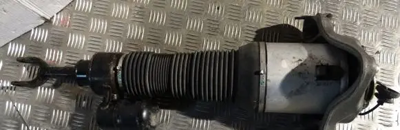 Bentley Flying Spur Front shock absorber/damper 3W5616039B