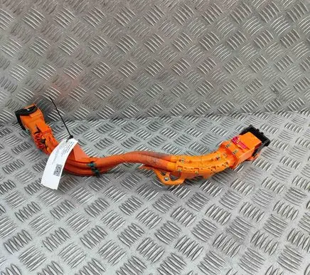 Tesla Model Y Other wiring loom 162485557D