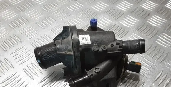 Thermostat/thermostat housing