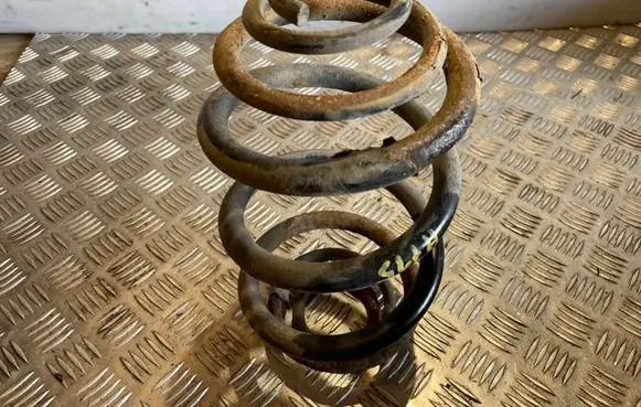 Opel Vivaro Rear coil spring 