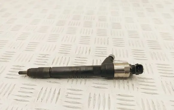 Opel Zafira C Fuel injector 55570012