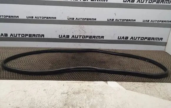 Mazda 3 II Rear door rubber seal (on body) 