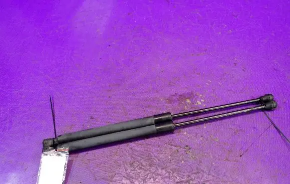 Dacia Sandero Tailgate strut 