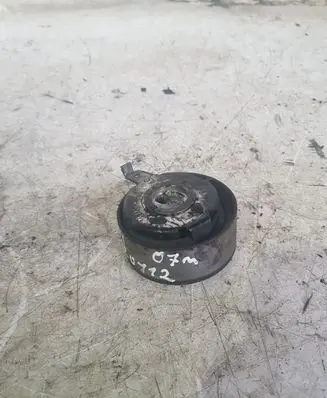 Audi A4 S4 B7 8E 8H Generator/alternator belt tensioner