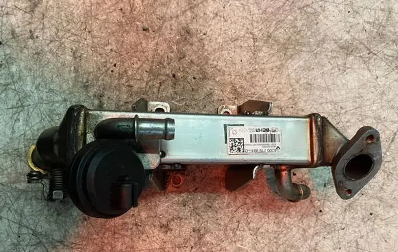 Renault Trafic II (X83) EGR valve cooler 8200719993D