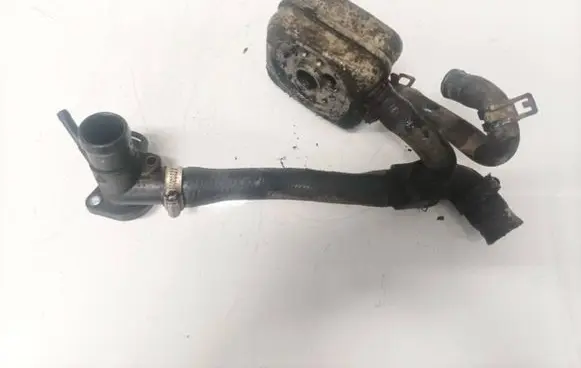 Seat Alhambra (Mk1) Engine oil radiator 