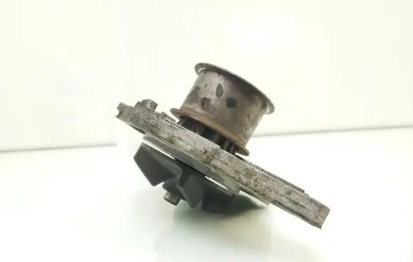 Volkswagen PASSAT B5.5 Water pump
