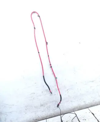 BMW X5 E53 Positive cable (battery) 8386400