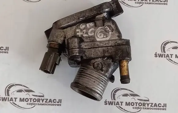 Thermostat/thermostat housing
