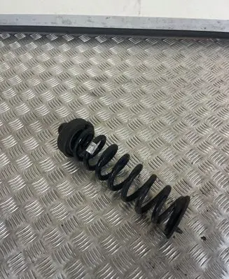 BMW 4 F32 F33 Rear coil spring 8LL01 AI03