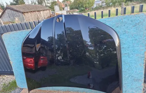 Engine bonnet/hood