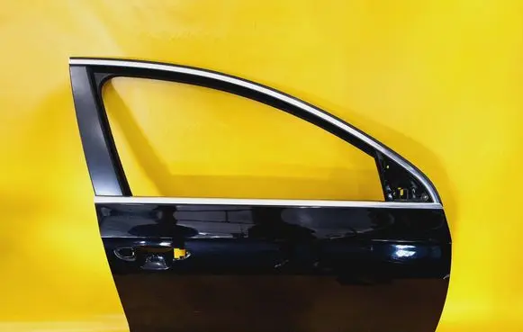 Volkswagen PASSAT B6 Front door