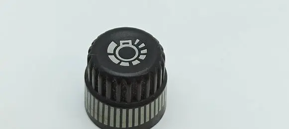 Jaguar XJ X40 Interior lighting switch