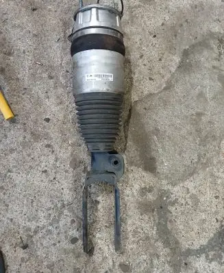 Porsche Cayenne (92A) Front shock absorber/damper 7P5616403AD